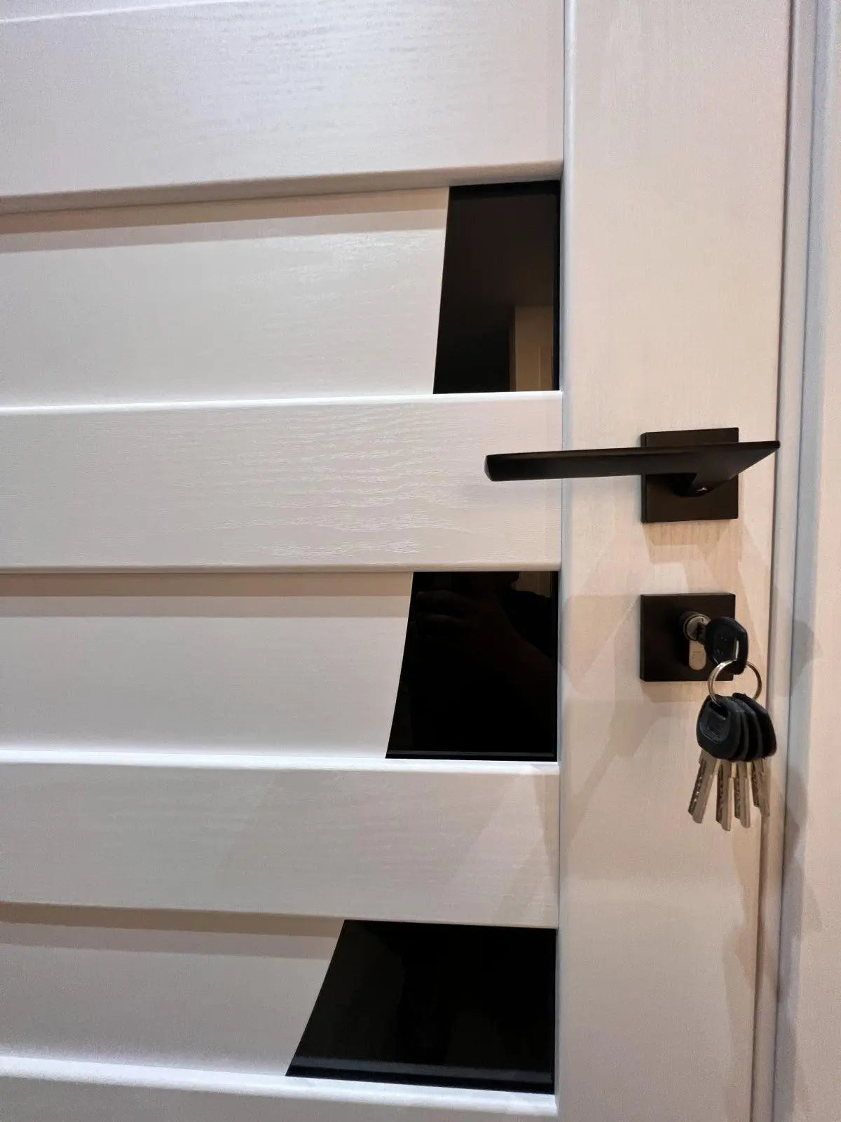 Ușă interior Paris Pearl Ash – cu sticlă negră complet echipată, cu toc reglabil Omis